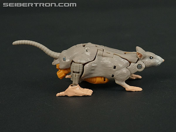 Transformers War for Cybertron: Kingdom Rattrap (Image #19 of 131)