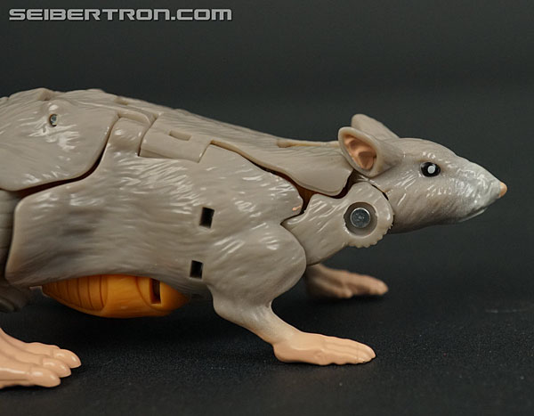 Transformers War for Cybertron: Kingdom Rattrap (Image #20 of 131)