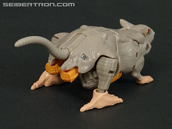 Transformers War for Cybertron: Kingdom Rattrap (Image #23 of 131)