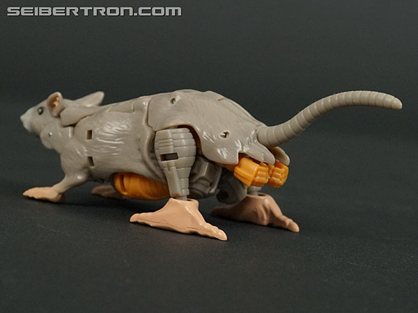 Transformers War for Cybertron: Kingdom Rattrap (Image #25 of 131)