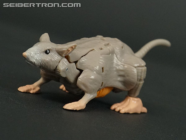 Transformers War for Cybertron: Kingdom Rattrap (Image #29 of 131)
