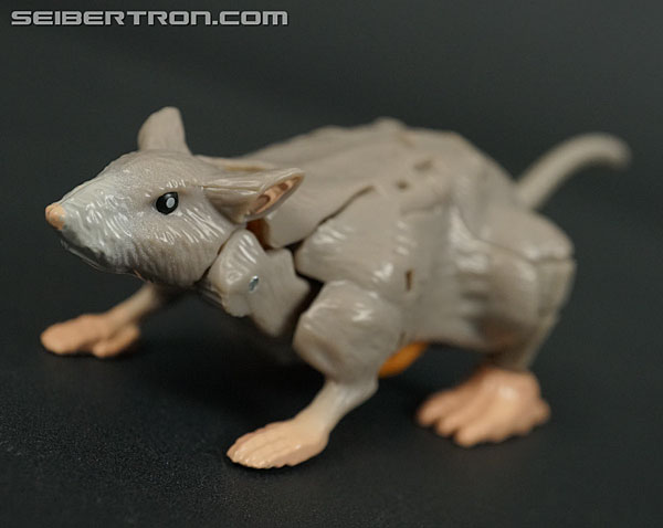 Transformers War for Cybertron: Kingdom Rattrap (Image #30 of 131)