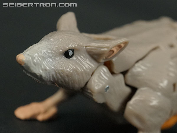Transformers War for Cybertron: Kingdom Rattrap (Image #31 of 131)