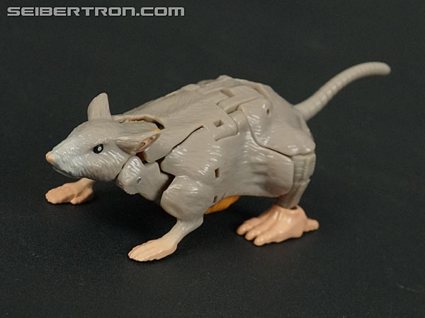 Transformers War for Cybertron: Kingdom Rattrap (Image #32 of 131)