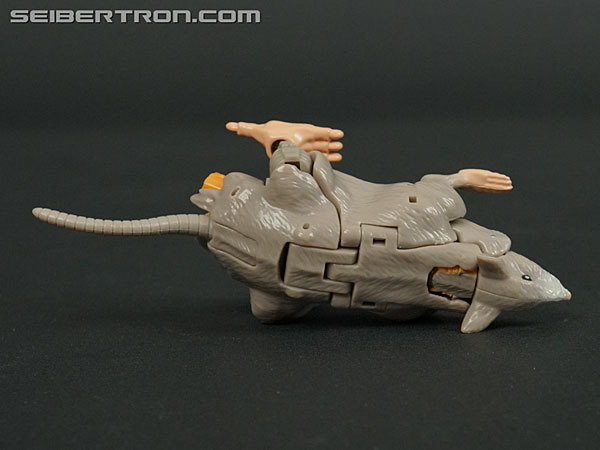 Transformers War for Cybertron: Kingdom Rattrap (Image #34 of 131)