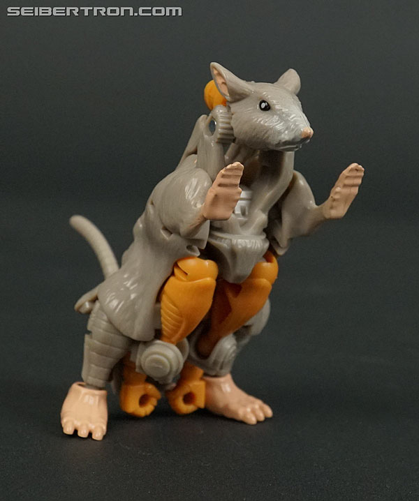 Transformers War for Cybertron: Kingdom Rattrap (Image #35 of 131)