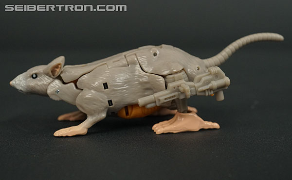 Transformers War for Cybertron: Kingdom Rattrap (Image #40 of 131)
