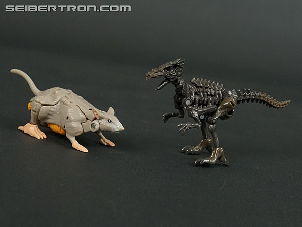 Transformers War for Cybertron: Kingdom Rattrap (Image #42 of 131)