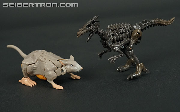 Transformers War for Cybertron: Kingdom Rattrap (Image #43 of 131)