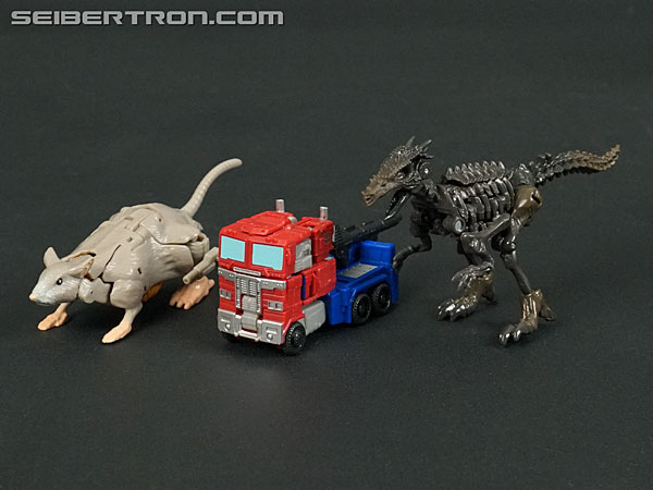 Transformers War for Cybertron: Kingdom Rattrap (Image #44 of 131)