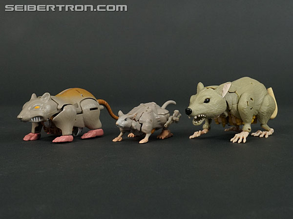 Transformers War for Cybertron: Kingdom Rattrap (Image #47 of 131)