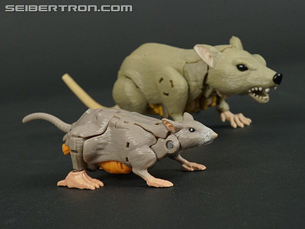 Transformers War for Cybertron: Kingdom Rattrap (Image #52 of 131)