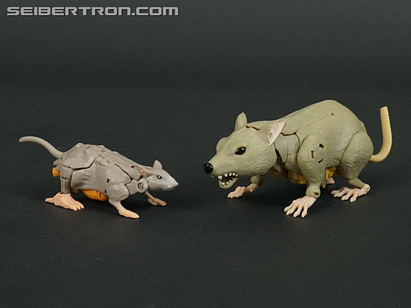 Transformers War for Cybertron: Kingdom Rattrap (Image #53 of 131)
