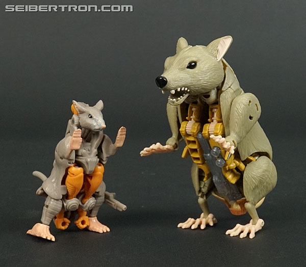 Transformers War for Cybertron: Kingdom Rattrap (Image #54 of 131)