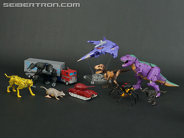 Transformers War for Cybertron: Kingdom Rattrap (Image #56 of 131)