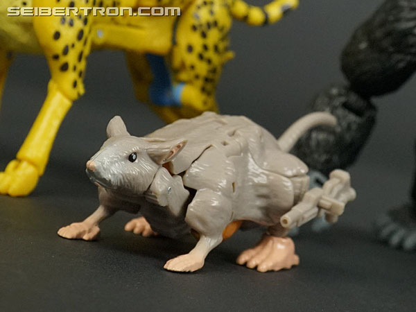Transformers War for Cybertron: Kingdom Rattrap (Image #60 of 131)