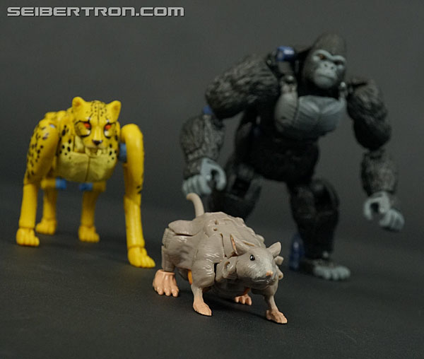 Transformers War for Cybertron: Kingdom Rattrap (Image #61 of 131)