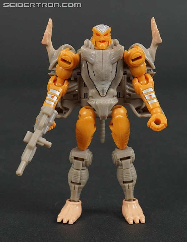 Transformers War for Cybertron: Kingdom Rattrap (Image #62 of 131)