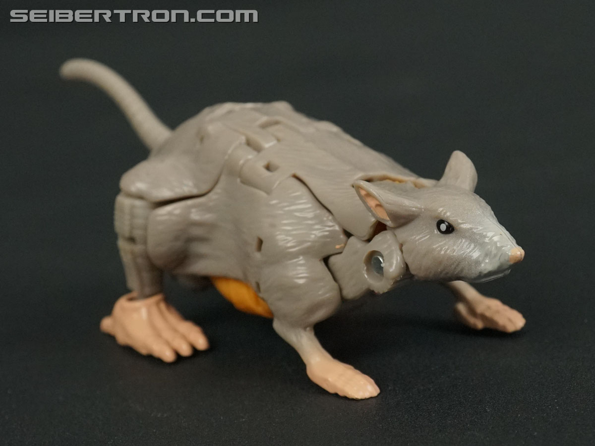 Transformers War for Cybertron: Kingdom Rattrap (Image #17 of 131)