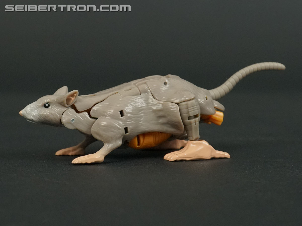 Transformers War for Cybertron: Kingdom Rattrap (Image #26 of 131)