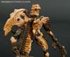 War for Cybertron: Kingdom Paleotrex - Image #81 of 173