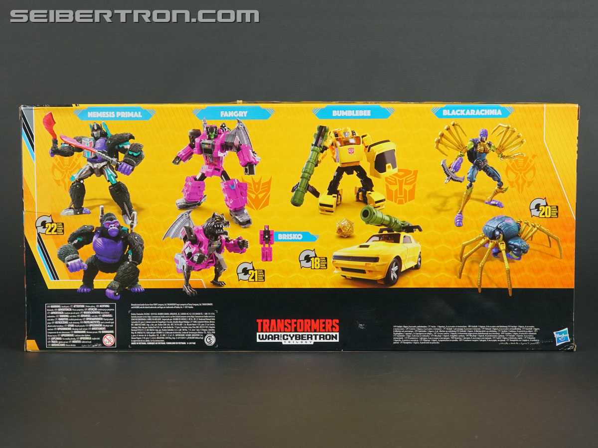 Transformers War for Cybertron: Trilogy Blackarachnia (Image #18 of 185)