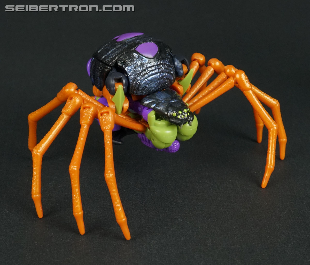 Transformers War for Cybertron: Trilogy Blackarachnia (Image #21 of 185)