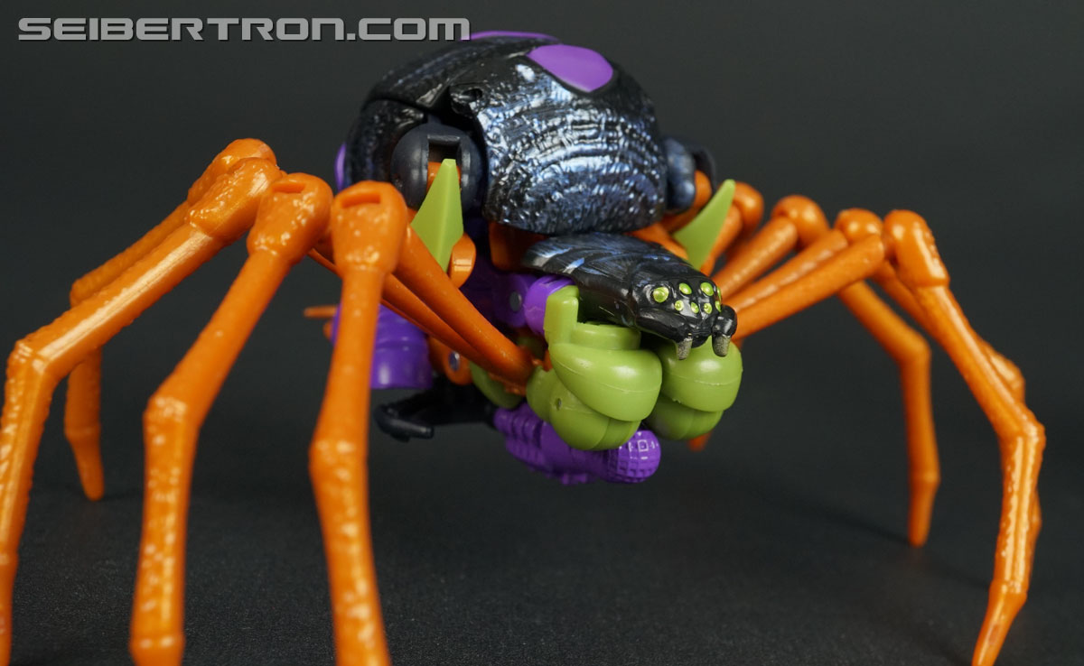 Transformers War for Cybertron: Trilogy Blackarachnia (Image #23 of 185)