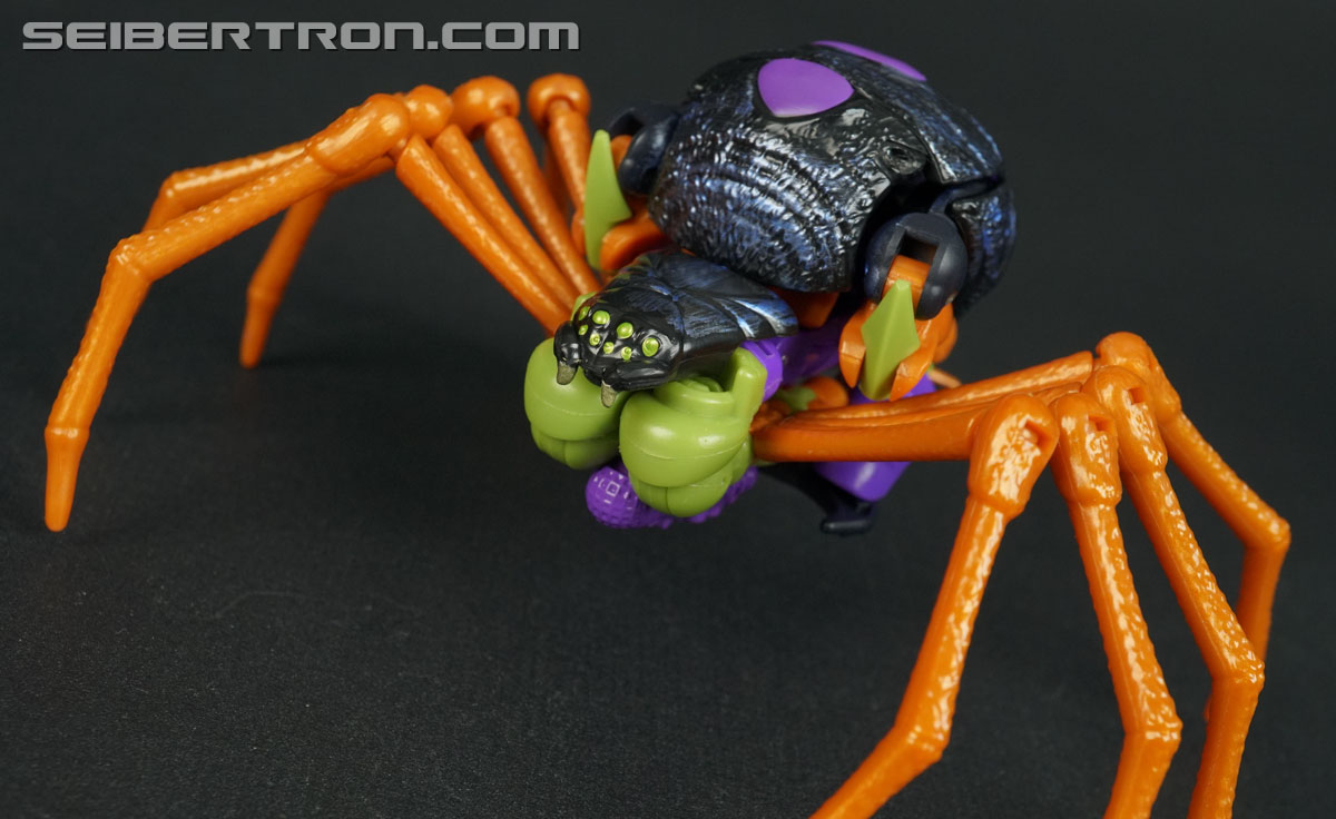 Transformers War for Cybertron: Trilogy Blackarachnia (Image #39 of 185)