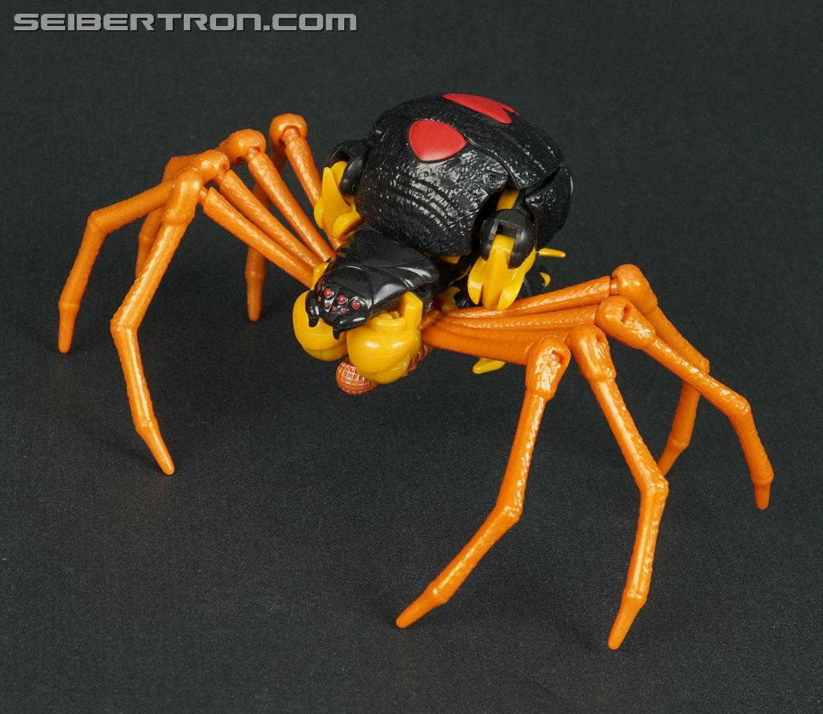 Transformers War for Cybertron: Trilogy Blackarachnia (Image #75 of 185)