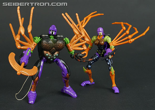 Transformers War for Cybertron: Trilogy Blackarachnia (Image #147 of 185)