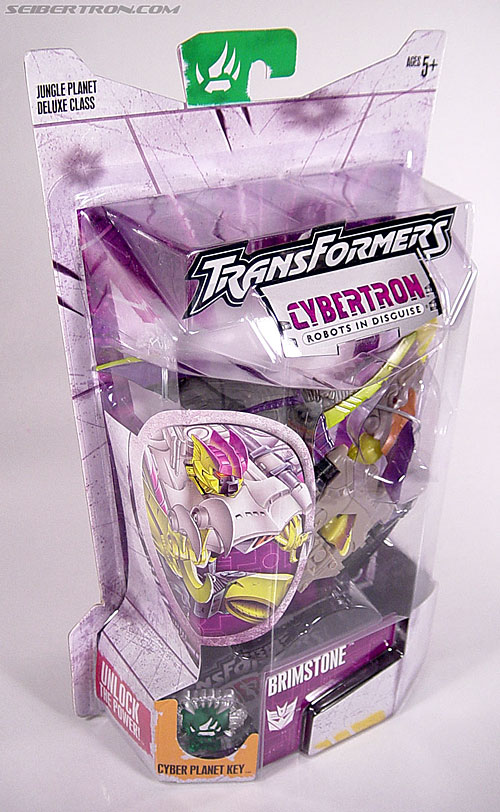 Transformers Cybertron Brimstone (Tera Shaver) (Image #6 of 78)