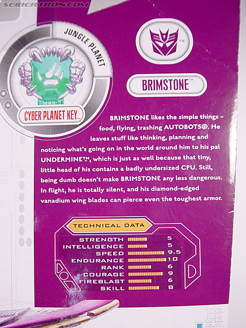 Transformers Cybertron Brimstone (Tera Shaver) (Image #8 of 78)