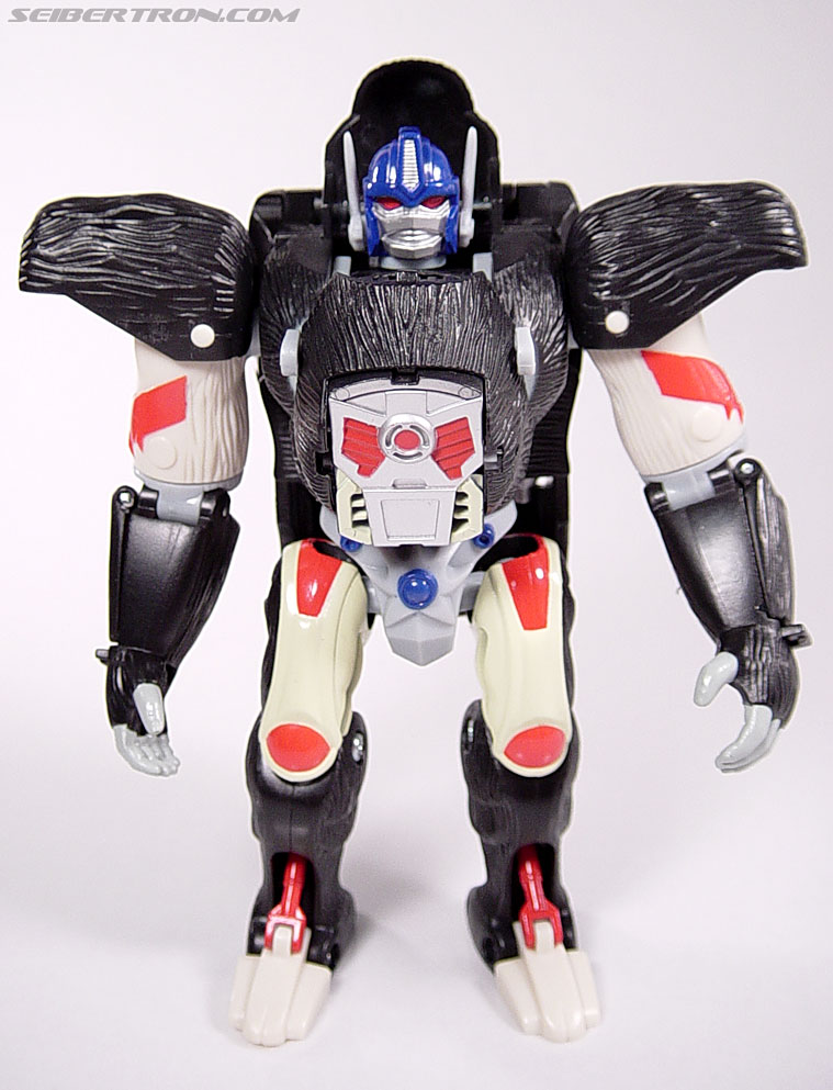 Робот master. Оптимус праймал игрушка. Трансформер горилла игрушка. Робот горилла трансформер. Robot Masters Transformers игрушка.