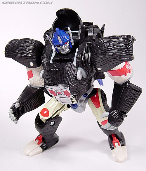 Transformers Robot Masters Optimus Primal (Beast Convoy) (Image #40 of 77)