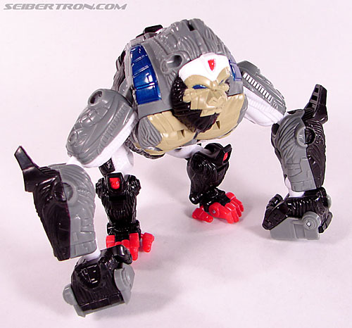 Transformers Beast Wars (10th Anniversary) Optimus Primal Toy Gallery ...