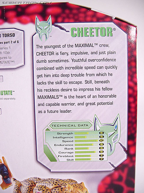 Transformers Beast Wars (10th Anniversary) Cheetor (Cheetas)  (Reissue) (Image #16 of 97)