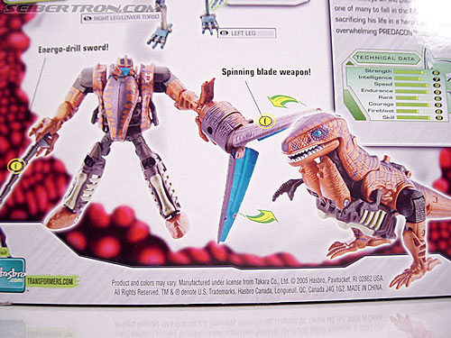Transformers Beast Wars (10th Anniversary) Dinobot (Reissue) (Image #14 of 88)