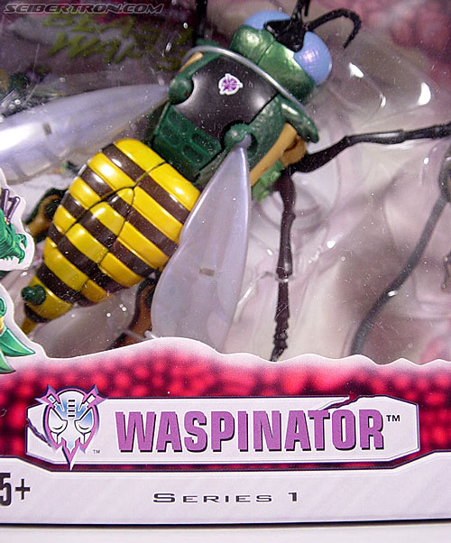 Transformers Beast Wars (10th Anniversary) Waspinator (Waspitas)  (Reissue) (Image #2 of 96)