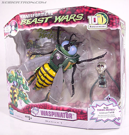 Transformers Beast Wars (10th Anniversary) Waspinator (Waspitas)  (Reissue) (Image #27 of 96)