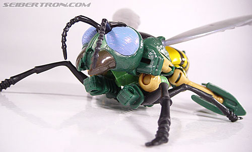 Transformers Beast Wars (10th Anniversary) Waspinator (Waspitas)  (Reissue) (Image #49 of 96)