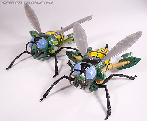 Transformers Beast Wars (10th Anniversary) Waspinator (Waspitas ...