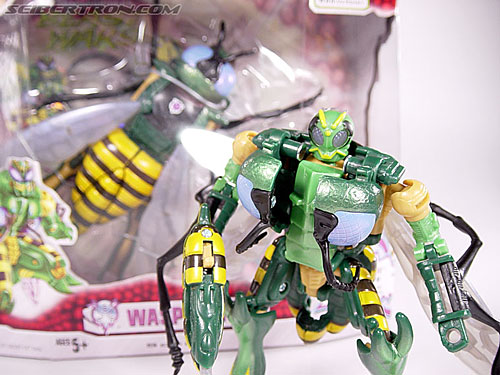 Transformers Beast Wars (10th Anniversary) Waspinator (Waspitas)  (Reissue) (Image #62 of 96)