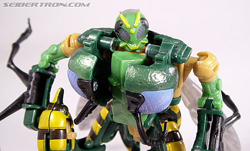 Transformers Beast Wars (10th Anniversary) Waspinator (Waspitas)  (Reissue) (Image #76 of 96)