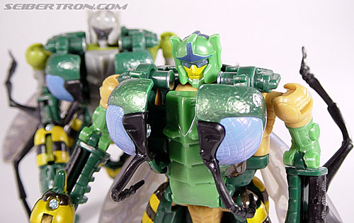 Transformers Beast Wars (10th Anniversary) Waspinator (Waspitas)  (Reissue) (Image #86 of 96)