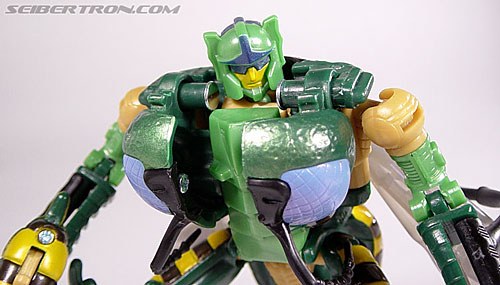 Transformers Beast Wars (10th Anniversary) Waspinator (Waspitas)  (Reissue) (Image #93 of 96)