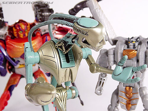 Transformers Beast Wars (10th Anniversary) Transmutate Toy Gallery ...