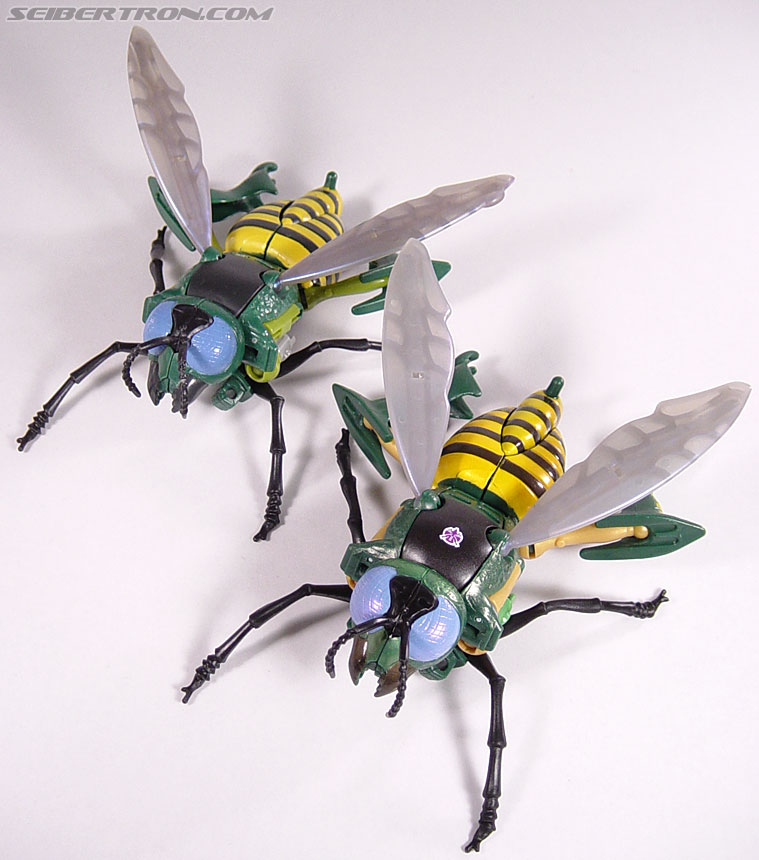 Transformers Beast Wars (10th Anniversary) Waspinator (Waspitas)  (Reissue) (Image #55 of 96)