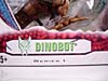 Beast Wars (10th Anniversary) Dinobot (Reissue) - Image #3 of 88