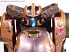 Beast Wars (10th Anniversary) Dinobot (Reissue) - Image #48 of 88
